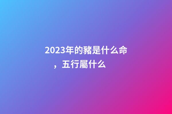 2023年的豬是什么命，五行屬什么?